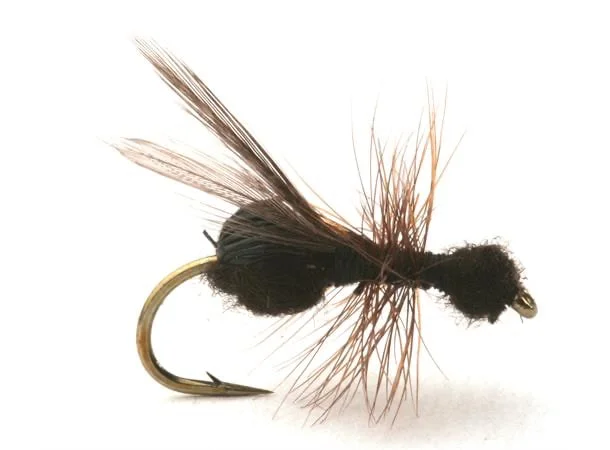 Guideline Flying Ant v:1849103 Guideline Flying Ant v:1849103