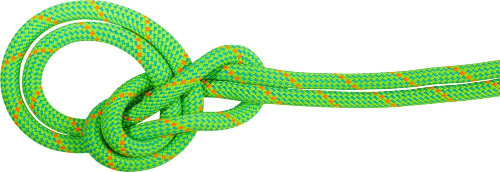 Mammut 9.5 Crag Dry Rope 70m Neon Green-ocean v:6054990