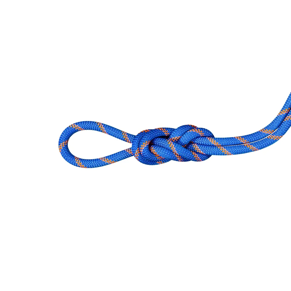 Mammut 9.0 Alpine Sender Dry Rope 50m Ice-sunrise v:1684800