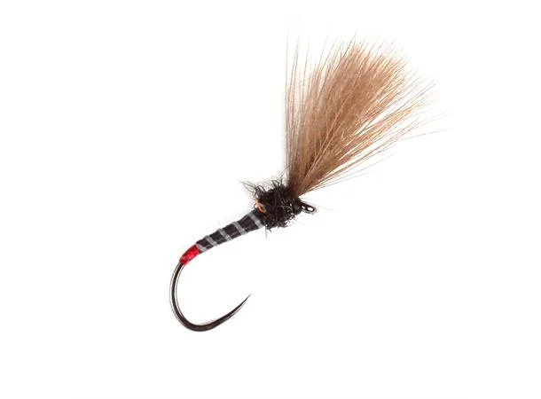Guideline Guideline Black Holotag Shuttlecock v:5364520 Guideline Guideline Black Holotag Shuttlecock v:5364520